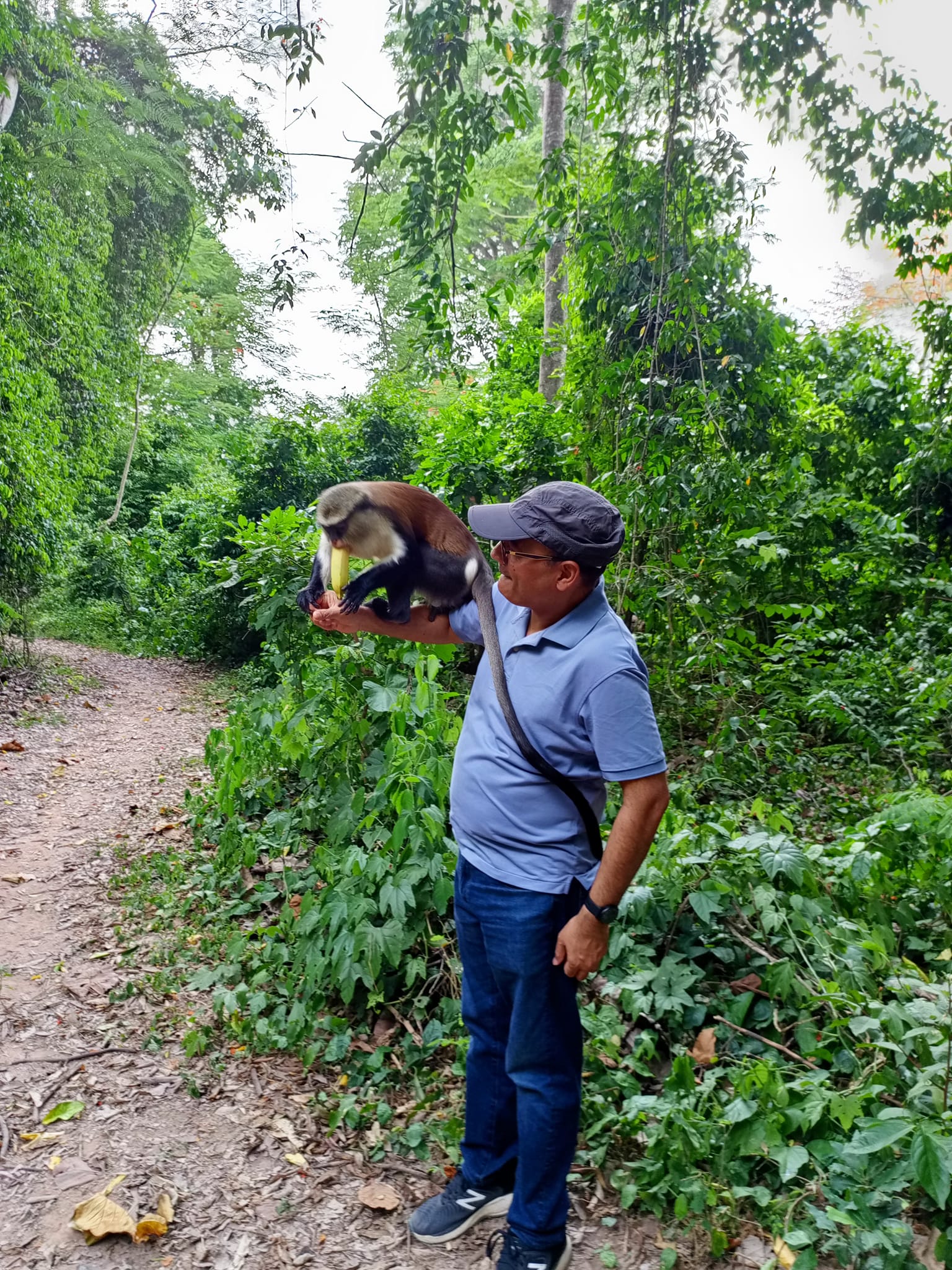 Tafi Atome Monkey Sanctuary