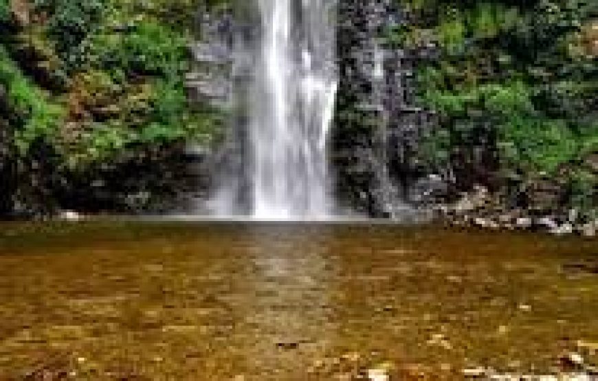 Wli Waterfalls