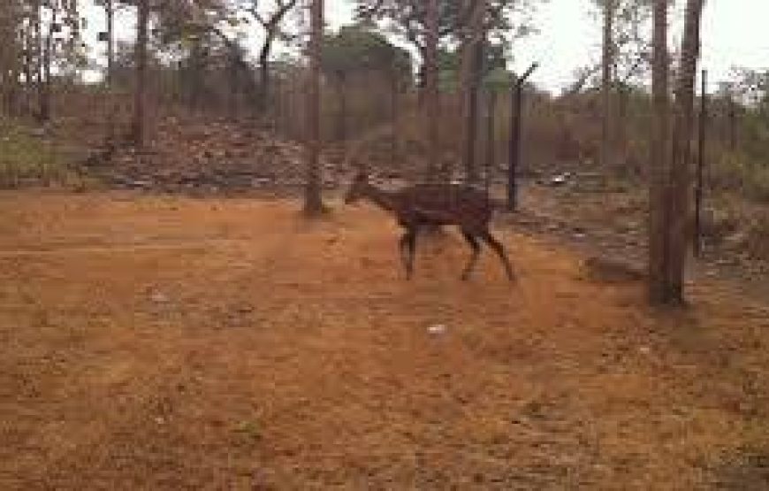 Kyabobo National Park