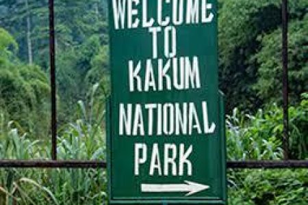 Kakum National Park