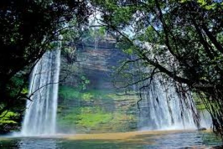 Travel and Tour