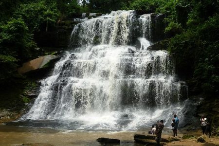 Travel and Tour