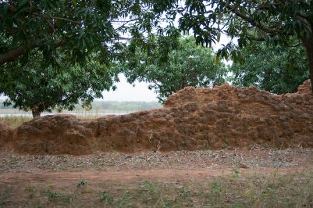 Nalerigu Slave Defense Wall