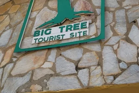 Travel and Tour